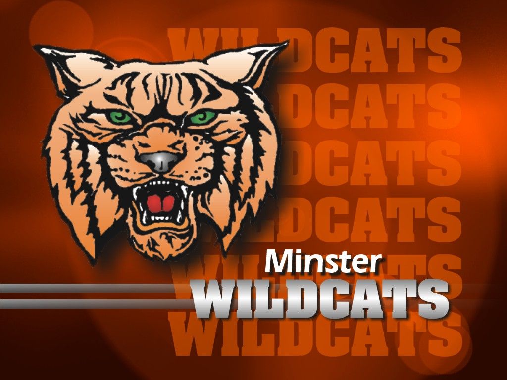 Minster tops Springfield, Shawnee falls to Toledo C.C